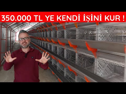 SIFIRDAN 1000 KAPASİTE KAFES TAVUĞU ÇİFTLİĞİ KURDUK | KURULUM MALİYETİ