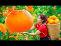 Harvesting Giant AMERICAN ORANGES - 2 year challenge to survive alone/Goes to the market sell