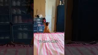 #trendyoutube #suscribeteanuestrocanal