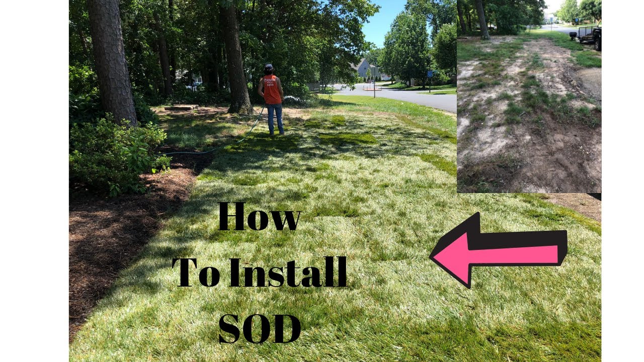 How To Install Sod - YouTube