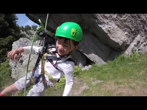 la grande balançoire des petits koalas
