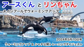 アースくんとリンちゃんが一緒に連続ジャンプ💦💦💦【名古屋港水族館】2024年5月10日 メインプールでウォーミングアップ & シャチ公開トレーニングダイジェスト版