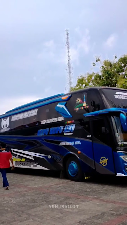 Story WA cinematic bus kupu kupu ayu #bismania #kupukupuayutrans