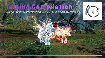 Taming Compilation - Riders of Icarus