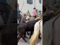 Bandido Manade Martel à Montpezat Bandido Manade Martel à Montpezat
