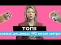 ТОП-5 самых дешевых ЖК возле метро от застройщиков 🏠 Новостройки Киева