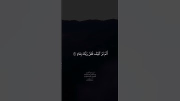 الشيخ محمد صديق المنشاوي سورة الفجر #قرآن_كريم #سورة_الفجر #الشيخ_محمد_صديق_المنشاوي #الشيخ_المنشاوي