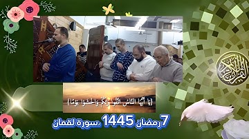 [القارئ محمد جمال سورة لقمان]FHD ،،،تلاوة كلها خشوع وتدبر