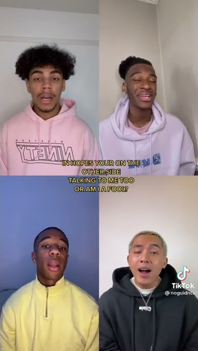Bruno Mars - Talking to the moon cover Acapella