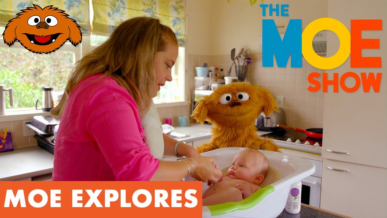Moe Explores Baby Kids learn about babies How to look after a baby TheMoeShow babies Moe Explores Baby Kids learn about babies How to look after a baby TheMoeShow babies