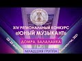 ДОМРА БАЛАЛАЙКА МЛАДШАЯ ГРУППА