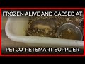 Animals frozen alive crudely gassed at petco petsmart supplier mill