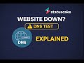 DNS Uptime Test Explained: Monitor Domain Resolution with StatusCake Beginner Guide