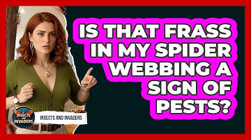 Is That Frass In My Spider Webbing A Sign Of Pests? - Insects and Invaders