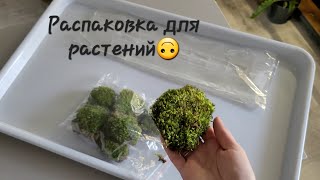 Распаковка приблуд для растений из группы по совместной закупке  🙃 1 часть..