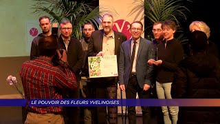 Yvelines | Le pouvoir des fleurs yvelinois