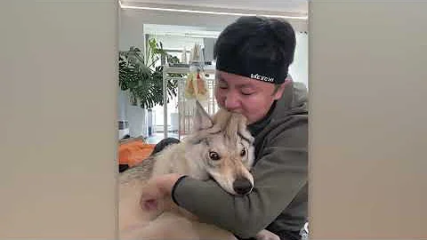 That Was Really Filmed on Camera