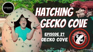 Hatching Gecko Cove  The Gecko Cove ConnectionGeckoCove