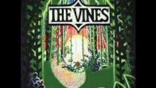 The Vines - Sunshinin chords