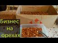 Бизнес на орехах: Выход ядра сорта галле и заработок!!!