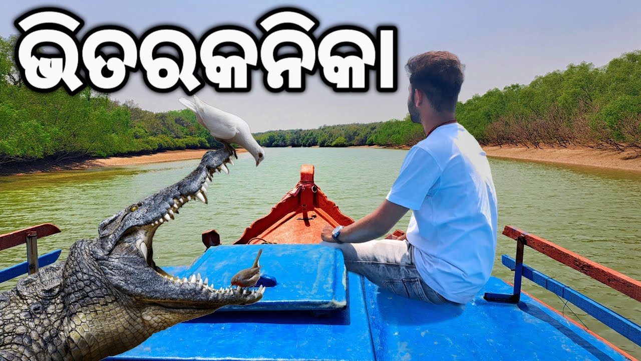 Bhitarkanika National Park | Bhitarakanika Crocodile | Bhitarakanika Kendrapara | Bhitarakanika Tour