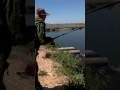 Рыбалка в Узбекистане 2016г.