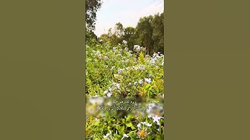 اكتب شيء تؤجر عليه (للذِينَ أحۡسَنُواْ ٱلحُسنَىٰ وَزِيَادَة..(26)#قرآن#سورة_يونس#عبدالله_الخلف#quran