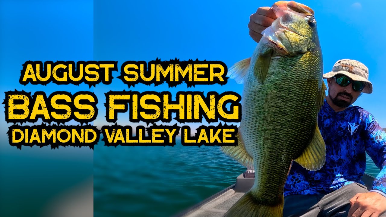 Summer Bass Fishing Diamond Valley Lake August 2025 #fishing #summer #bass #jangomike