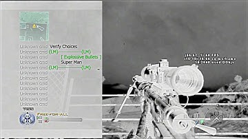 loyalModding Mw2 V4 Cfg Menu