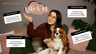 JAK TO JEST Z TYM CAVALIEREM? | Q&A z Kapim #1