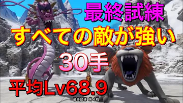 تحميل ドラクエ11 連武闘魔行