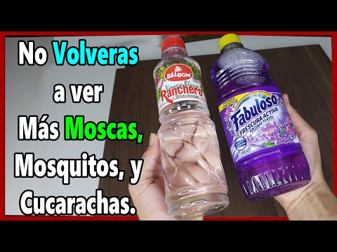 Video: ¿Cómo deshacerse de las moscas en una casa de madera? Remedios populares y productos químicos domésticos