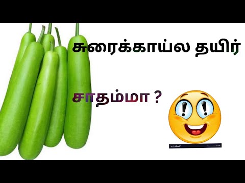 bottle-gourd-/-suraikai-curd-rice-in-tamil//weight-loss-diet-in-tamil-/-recipes-in-tami