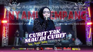 Download Lagu Cubit Tak Mau Di Cubit - Irni Julia NYAMUK EMPANG PRODUCTION MP3