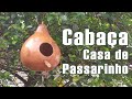 Como fazer casa de passarinho de Cabaça