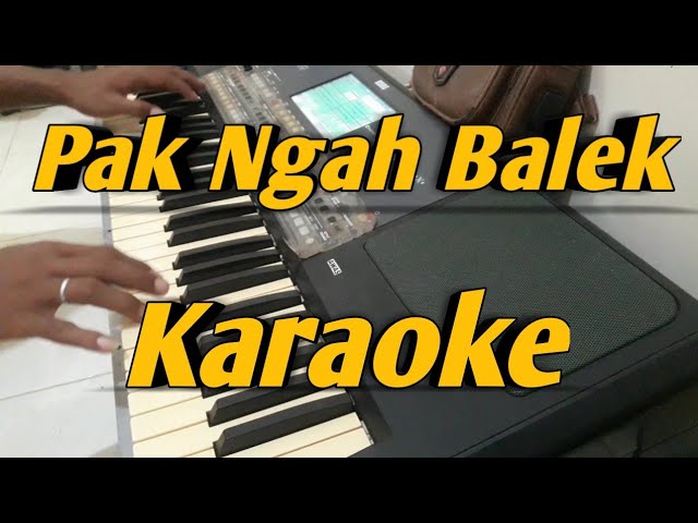 Pak Ngah Balek Karaoke Melayu Darmansyah Versi Korg PA600 class=