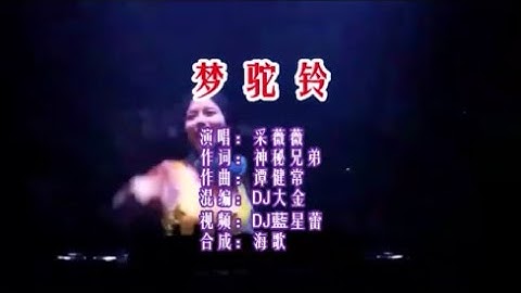 采薇薇 《梦驼铃 （DJ大金粤语女声版）》 KTV 导唱字幕 （备有伴奏视频）