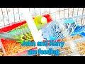 John and Kerry are feeding.#birds #birdlovers #parrot