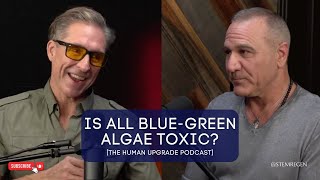 Can You Eat Blue-Green Algae? How Do You Know Its Safe? With Dave Asprey