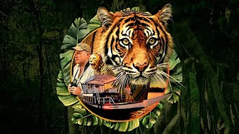 Tiger Tiger