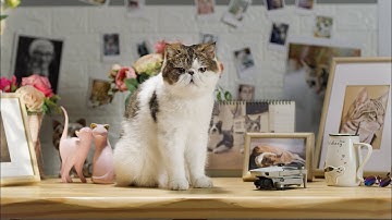 DJI Mavic Mini - Make Your Drone Your Own