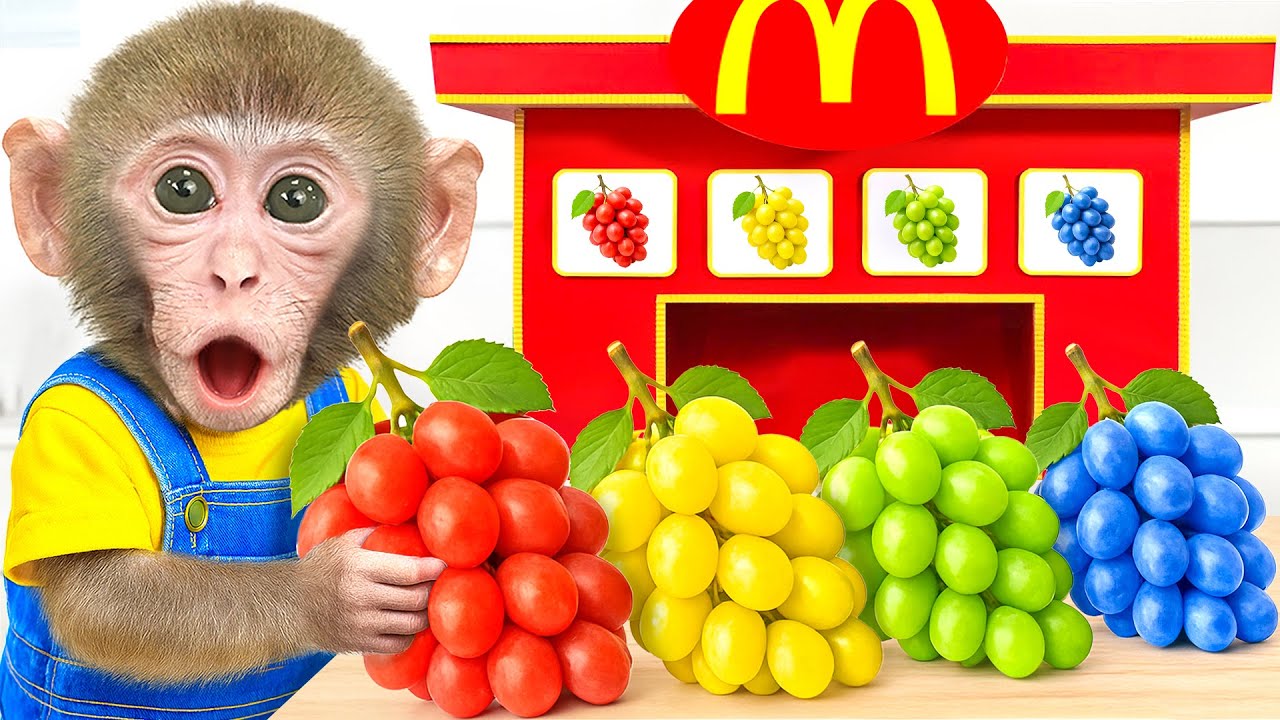 KIKI Monkey Drive a Tractor Harvest Colorful Grape and Swim with His Duck Friend | KIKI ANIMAL KUDO