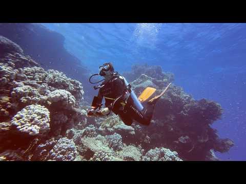 Así fue vivir 8 días buceando en el Mar Rojo, Egipto