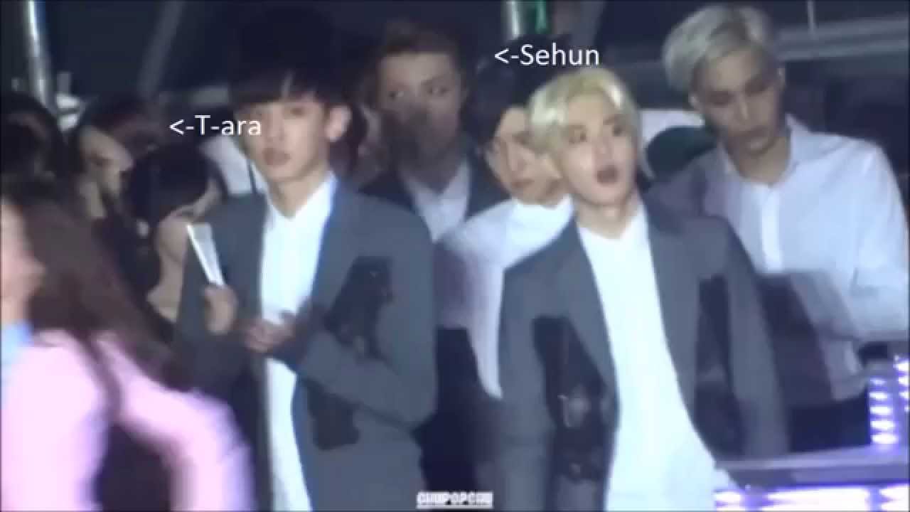 Sehun (EXO) Ideal Type is Jiyeon (T-ara)