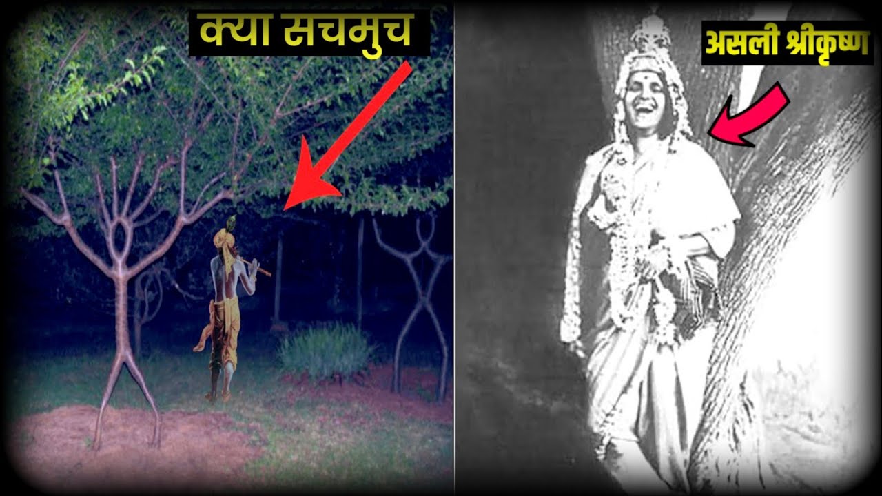 क्या सचमुच निधिवन में श्रीकृष्ण आते हैं? क्या यह सच है या झूठ? Mystery of nidhivan | Vrindavan