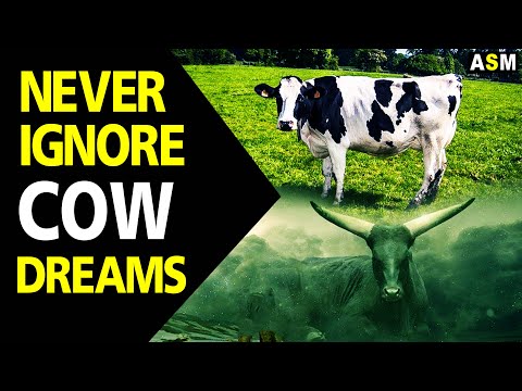 Video: Why Does A Woman Dream Of A Cow