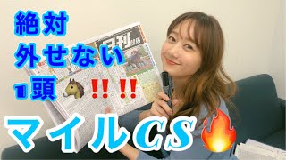 【競馬大予想!!!】GⅠマイルCS🐎大予想!!