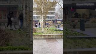 Hail In The Middle Of Spring In Rotterdam Spring In Dutch