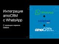 Интеграция amoCRM с WhatsApp с помощью сервиса Salebot