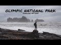 Olympic National Park | Through The Lens